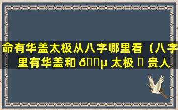 命有华盖太极从八字哪里看（八字里有华盖和 🌵 太极 ☘ 贵人就一定修道）